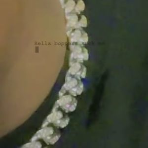 Meet your Posher, Louis